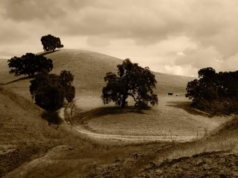 sudoku solver screenshot 3